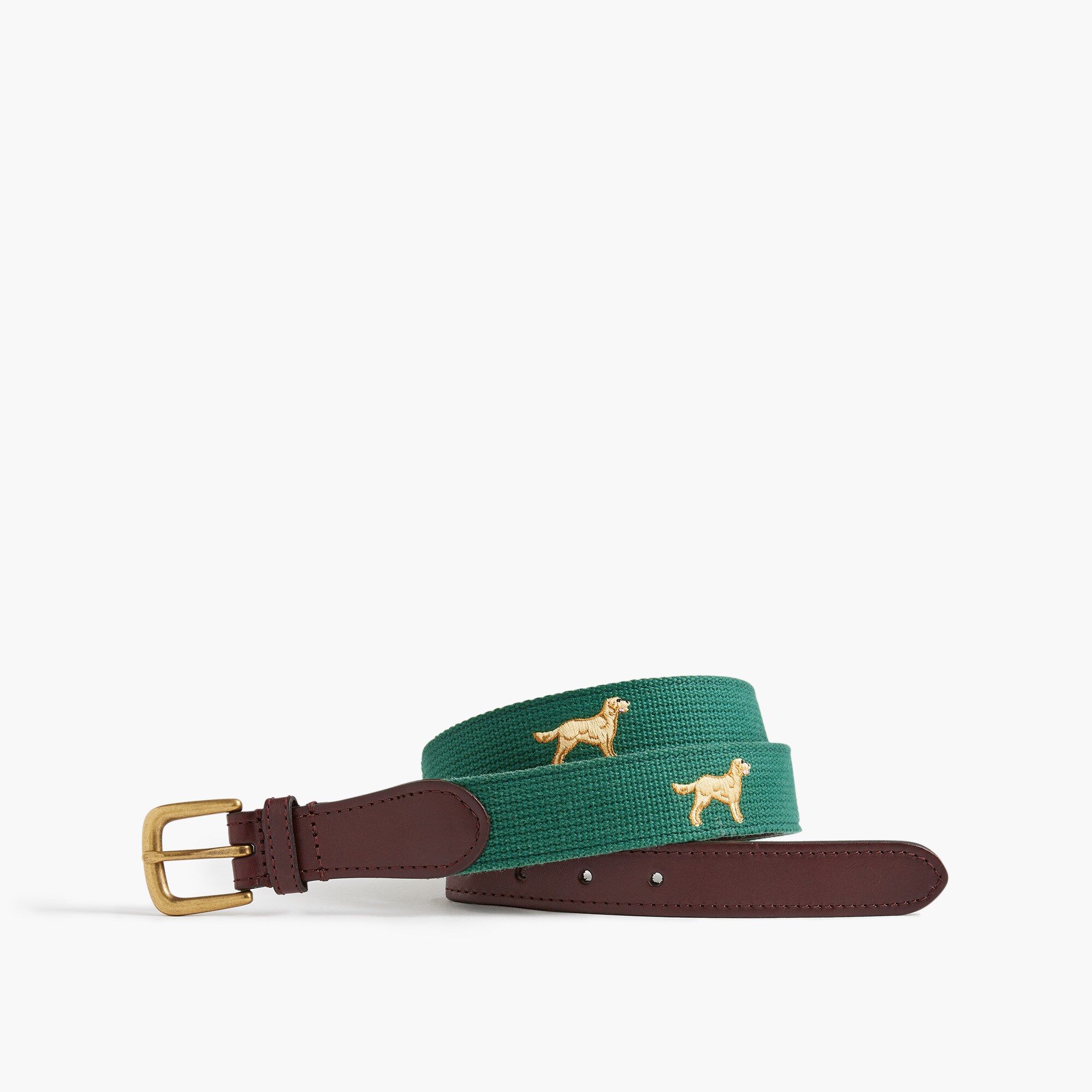 Golden retriever belt