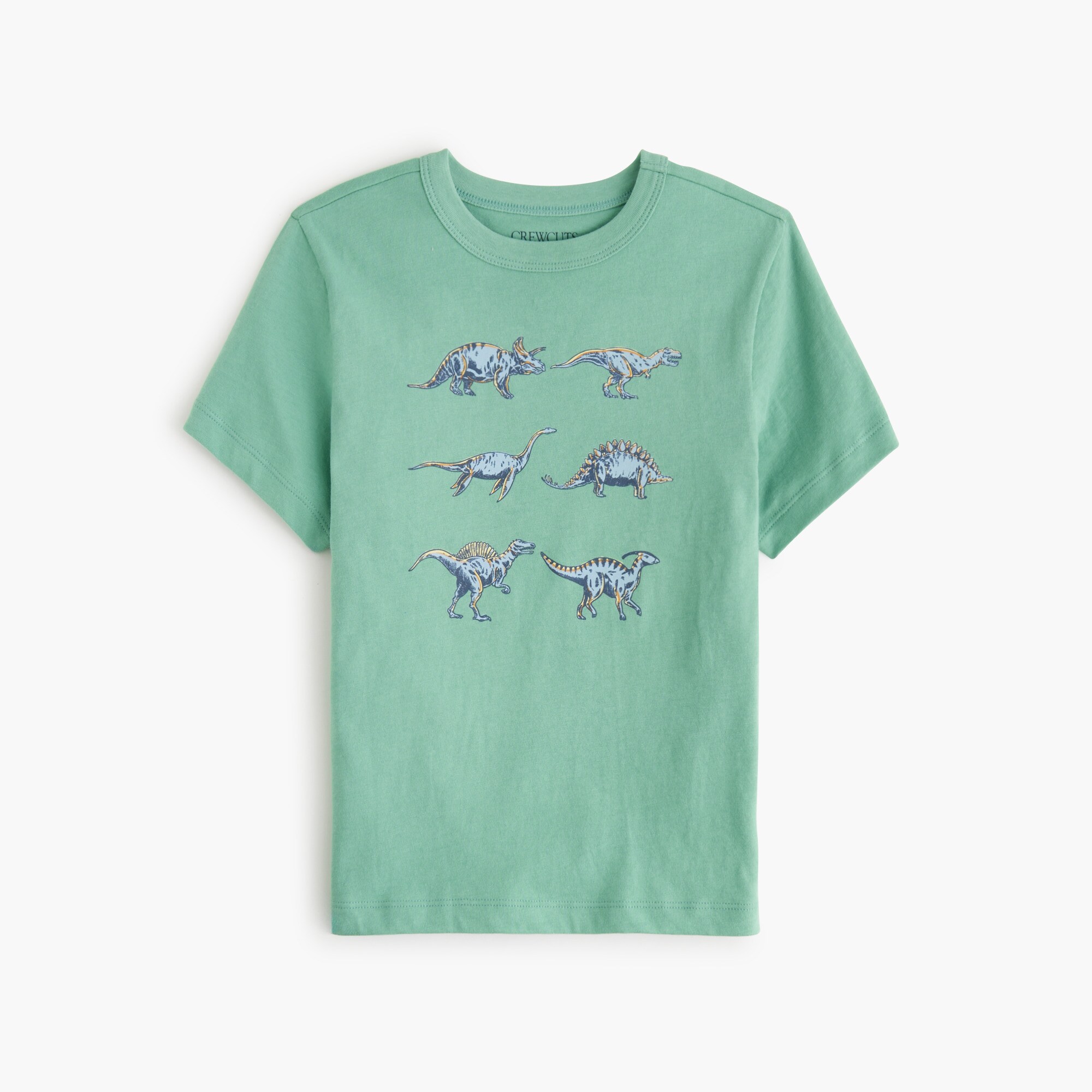 boys Boys' dinosaur graphic tee