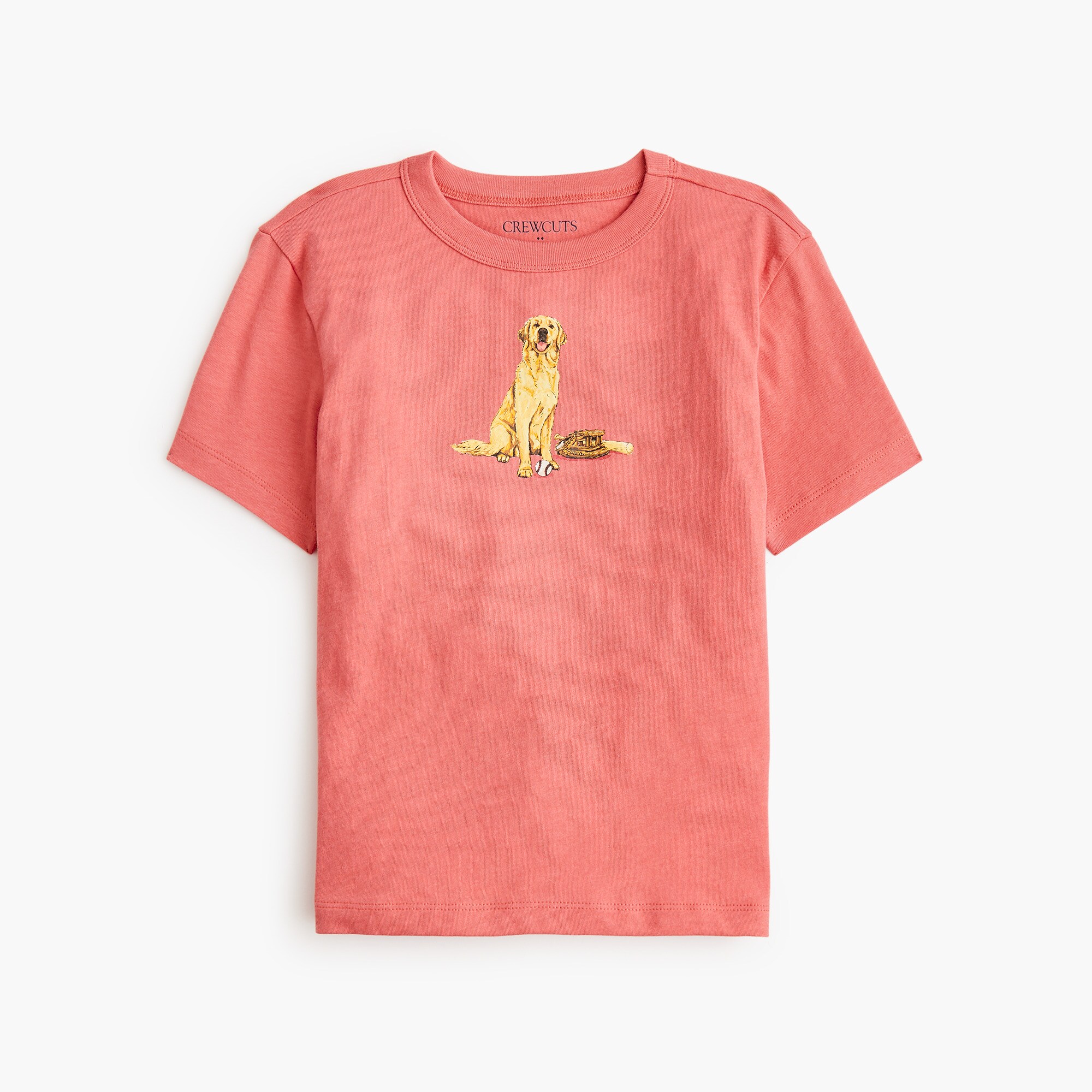 boys Boys' baseball dog graphic tee