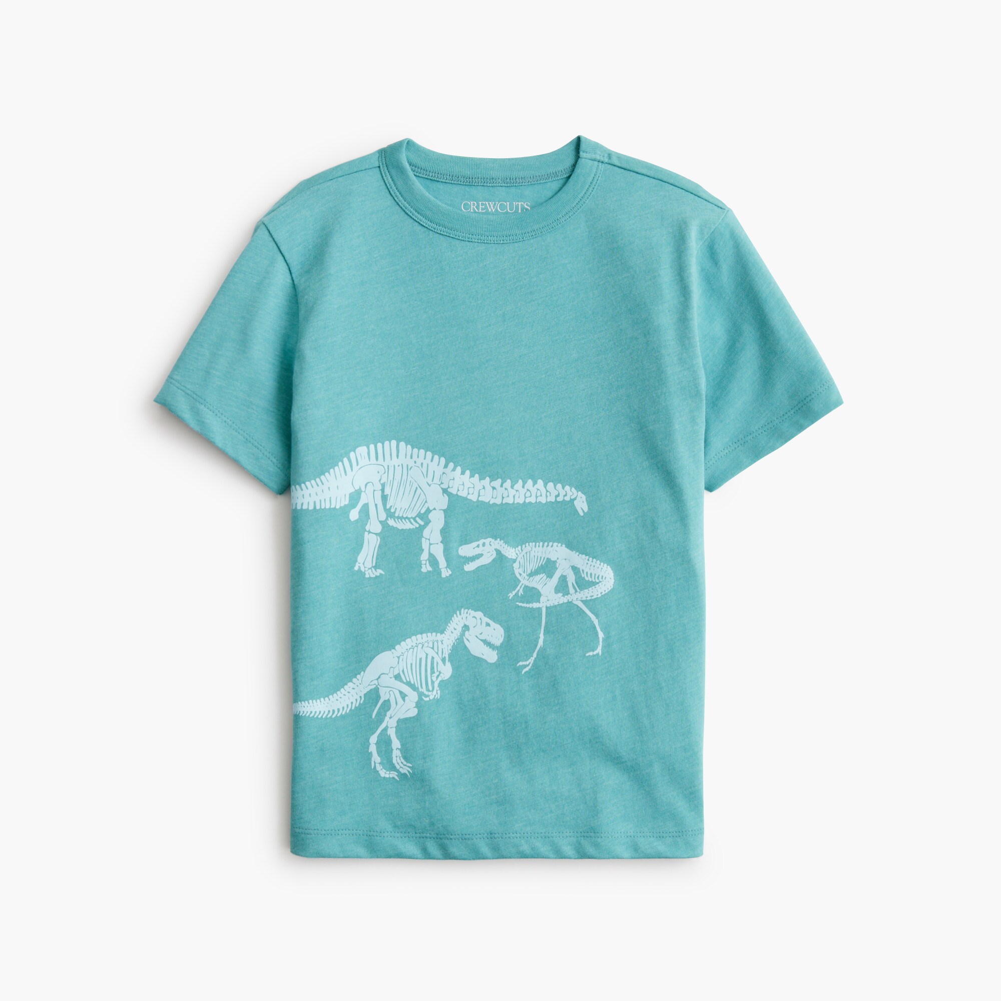 boys' dinosaur skeleton graphic tee for boys