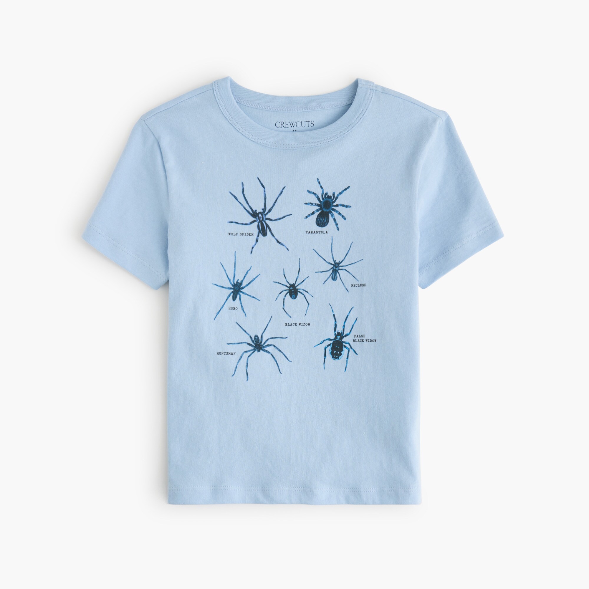 boys Boys' spider graphic tee
