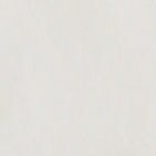 Essential v-neck tee WHITE