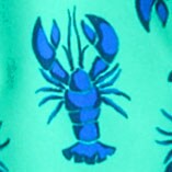 Boys' compression-lined swim trunk BRIGHT PATINA