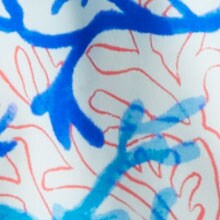 Boys' mesh-lined swim trunk CASCADE MULTI