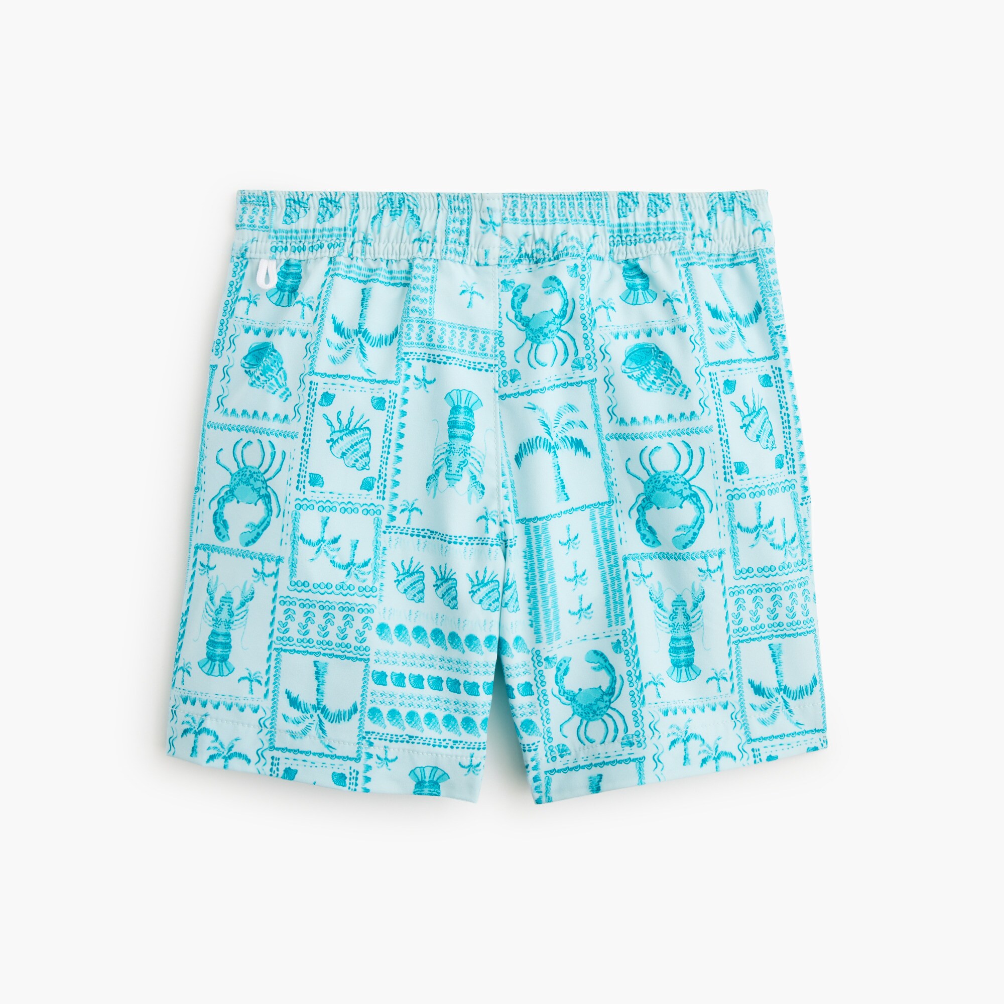 Boys' mesh-lined swim trunk