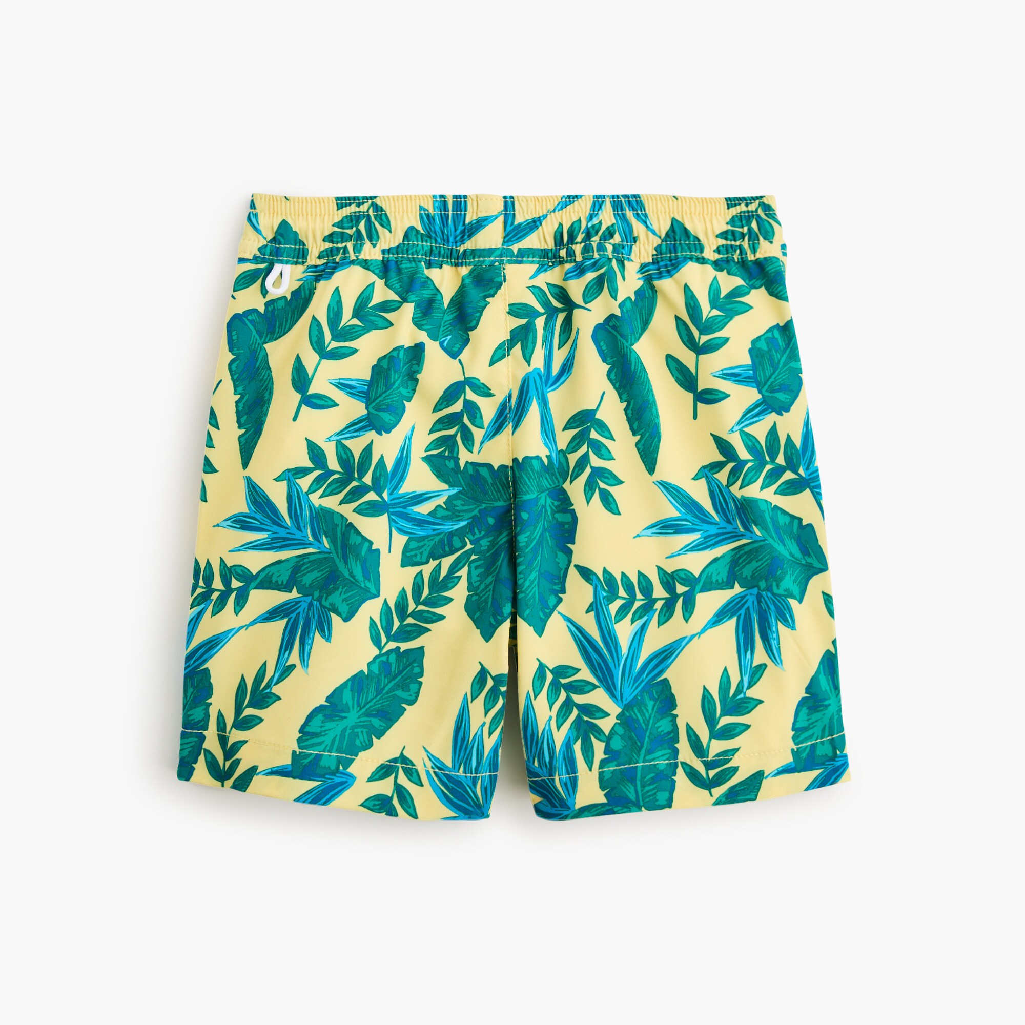 Boys' mesh-lined swim trunk