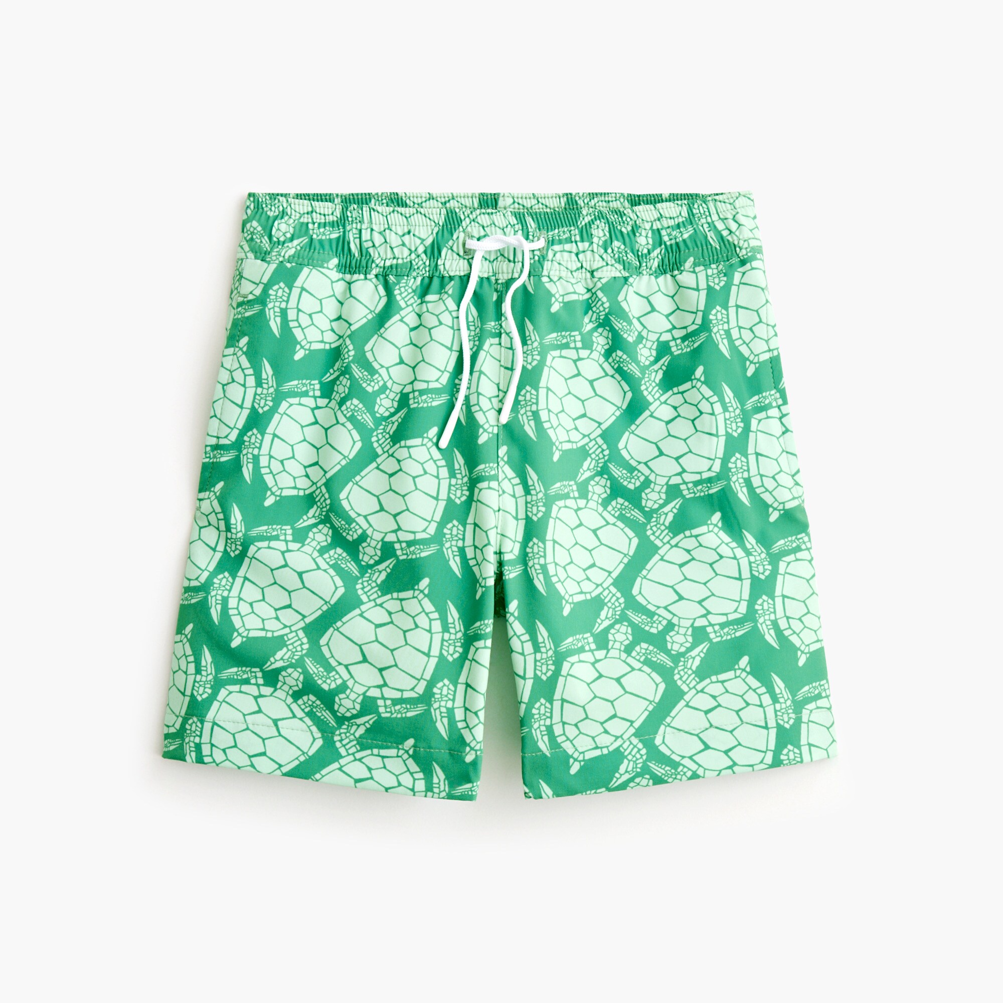 Boys' mesh turtle swim trunk