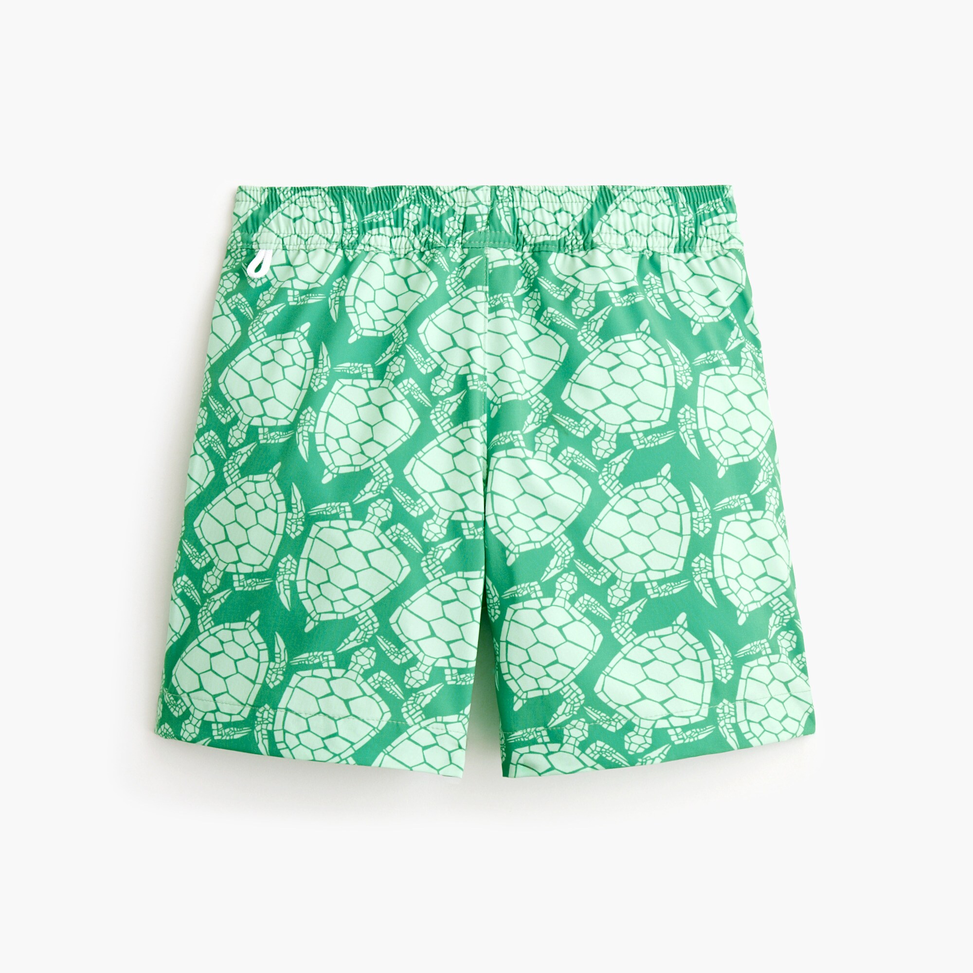 Boys' mesh turtle swim trunk