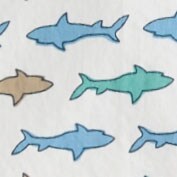 Boys' printed short-sleeve shirt WHITE MULTI