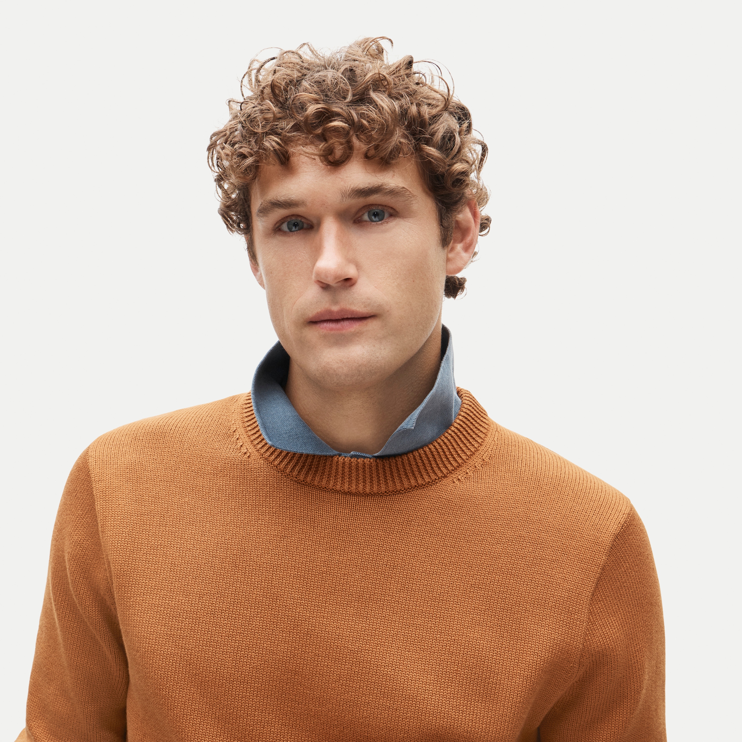 Heritage cotton crewneck sweater