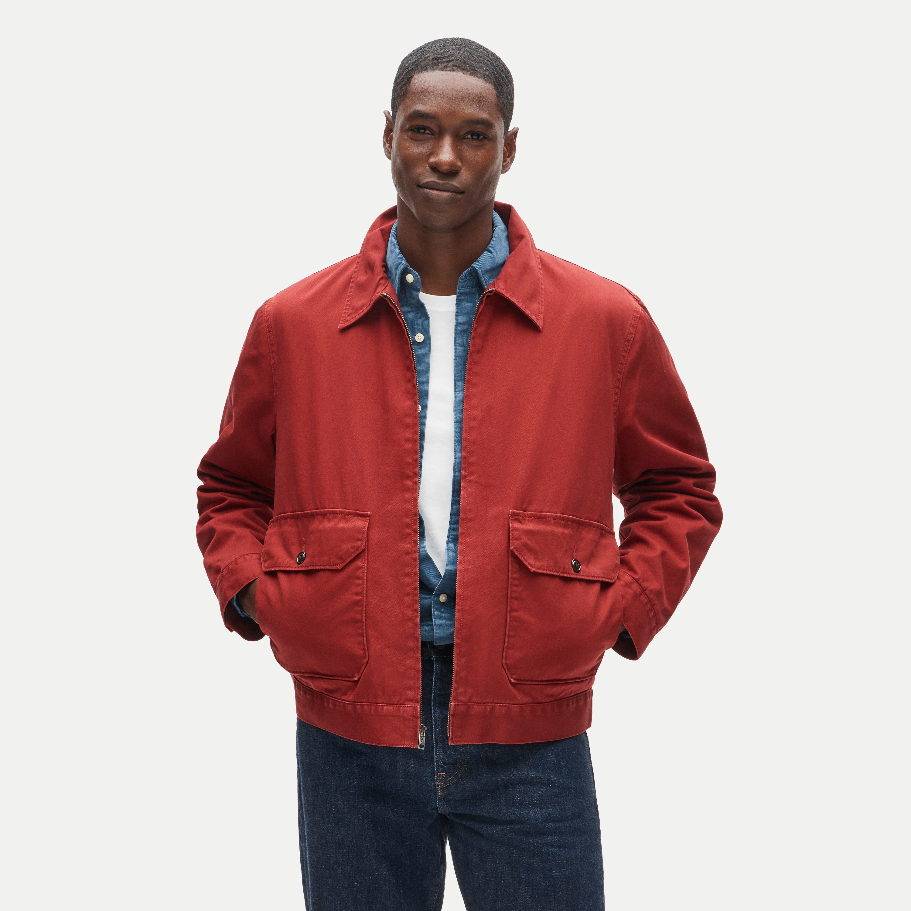 Studio jacket in cotton