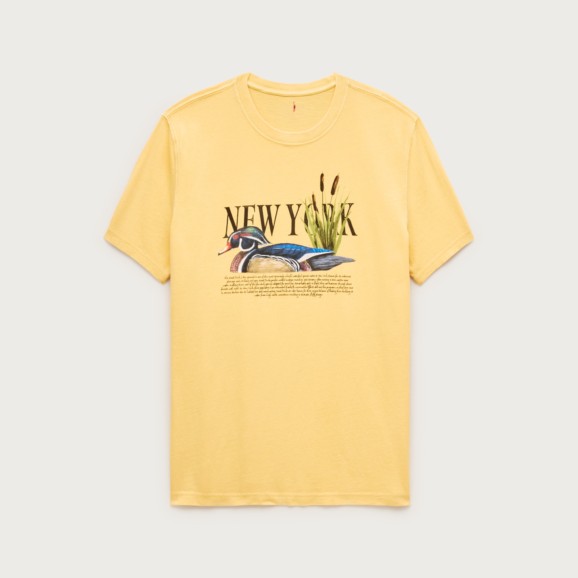 Vintage-wash cotton graphic T-shirt