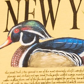 Vintage-wash cotton graphic T-shirt WOOD DUCK YELLOW