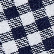 Gingham ruffle trouser socks ANTIQUE NAVY