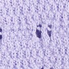 Girls' pointelle cardigan sweater ICED LILAC