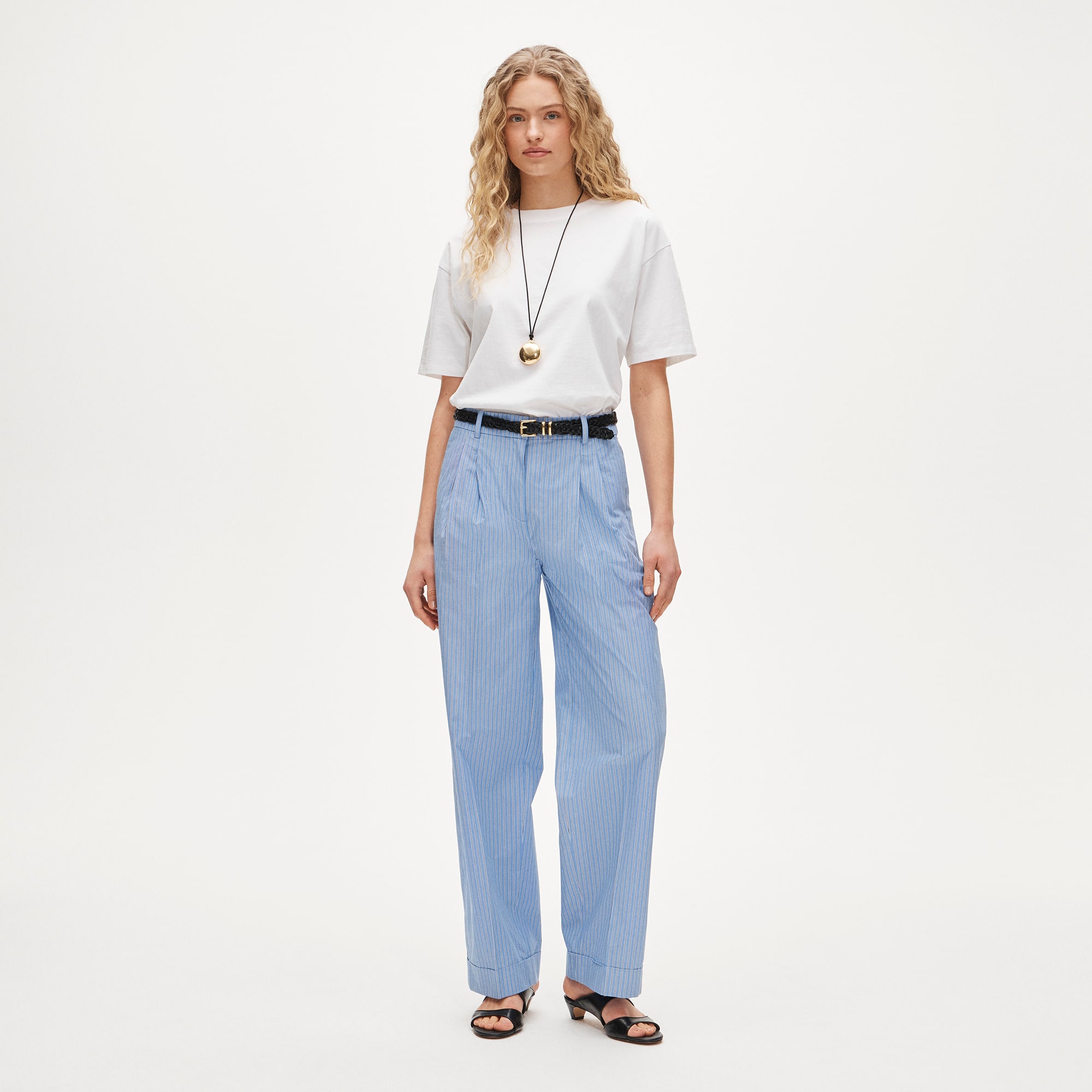 Wide-leg pleated pant in striped cotton