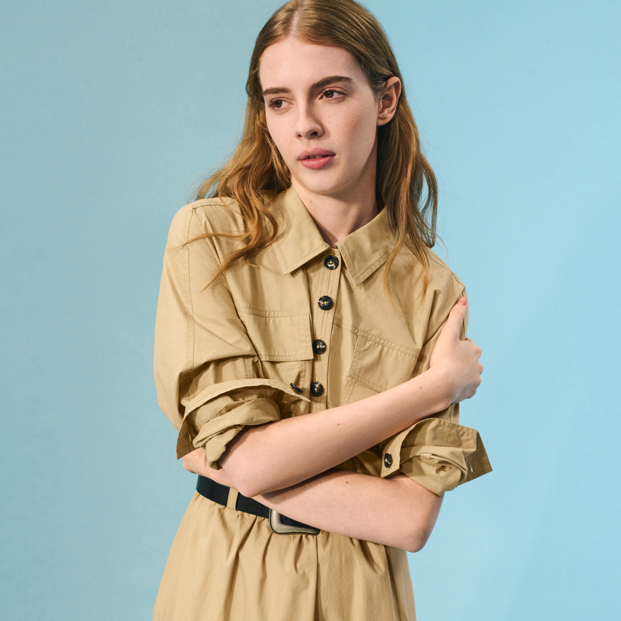 Trench shirt-dress in cotton poplin