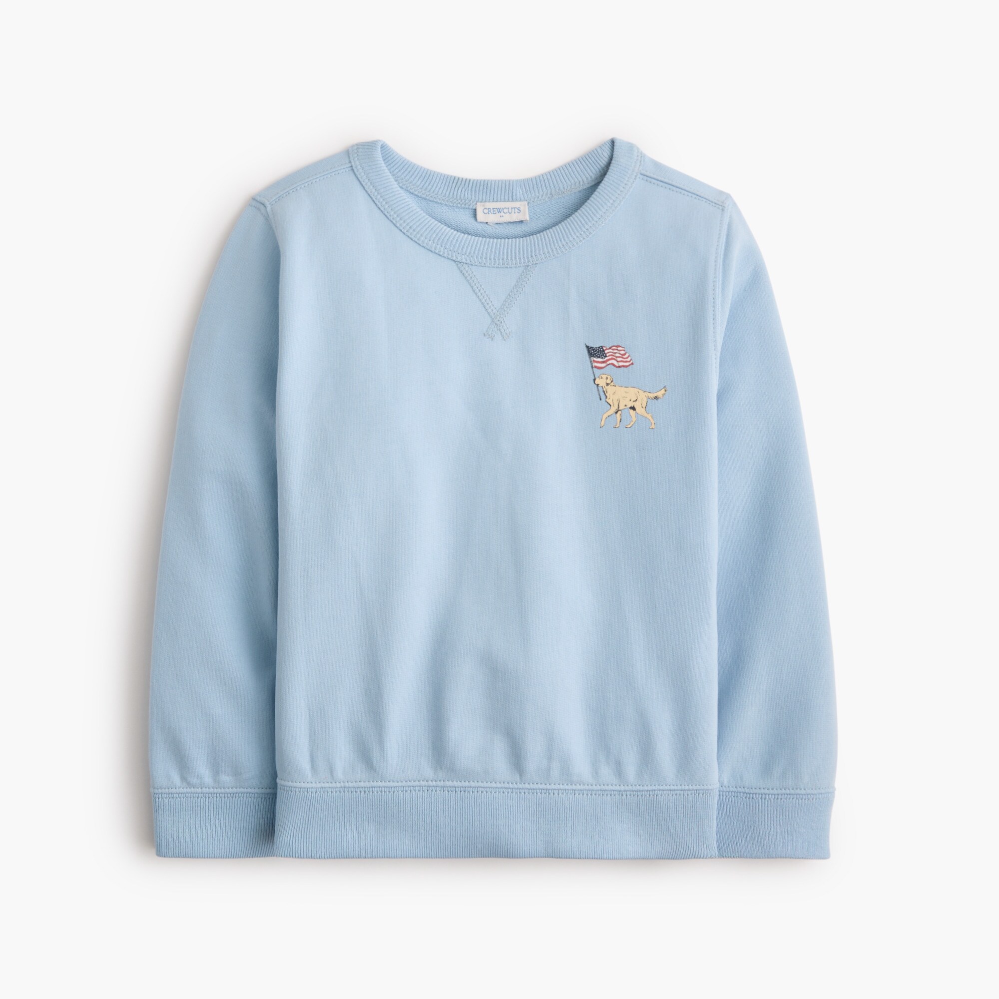 Boys' dog with flag crewneck sweatshirt