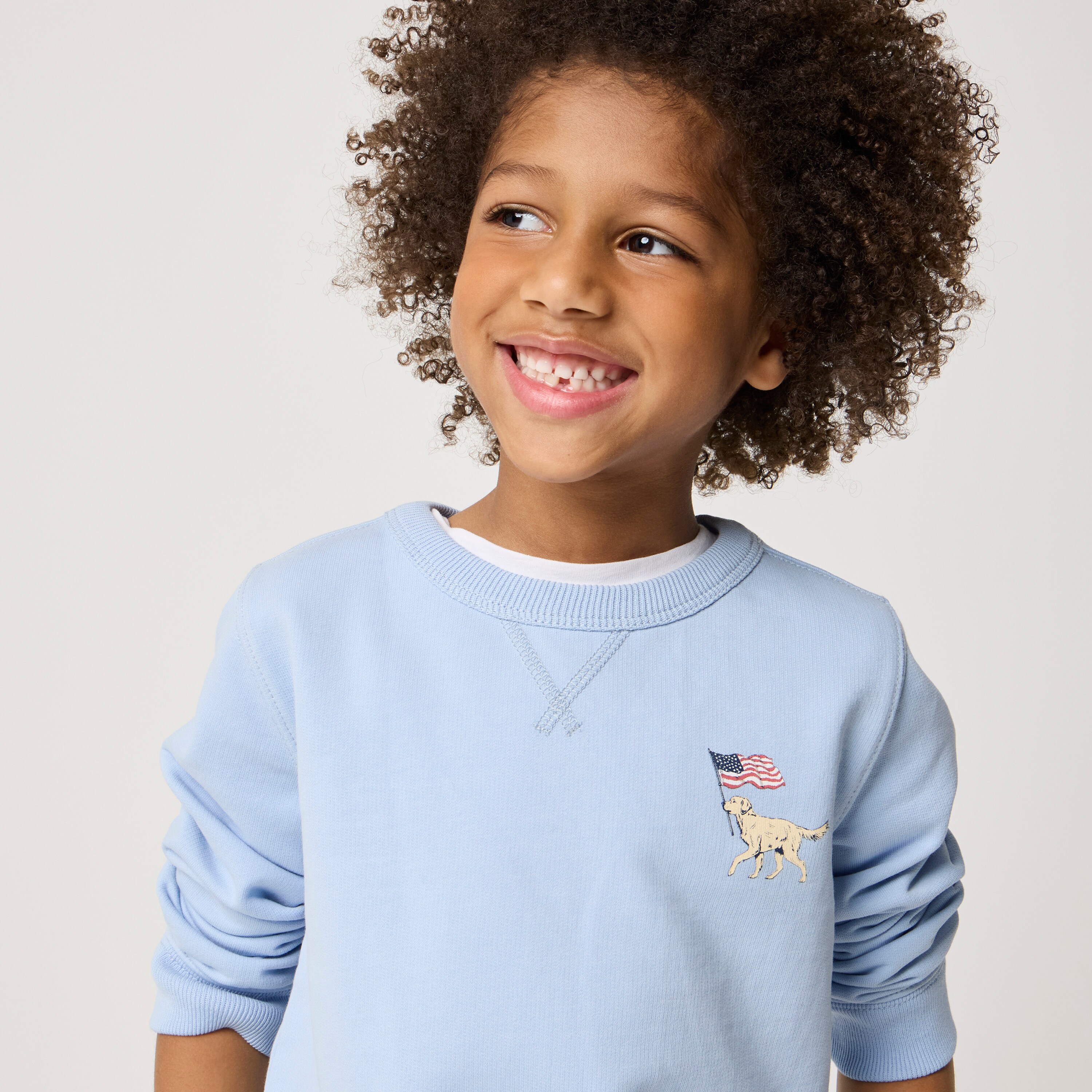 Boys' dog with flag crewneck sweatshirt
