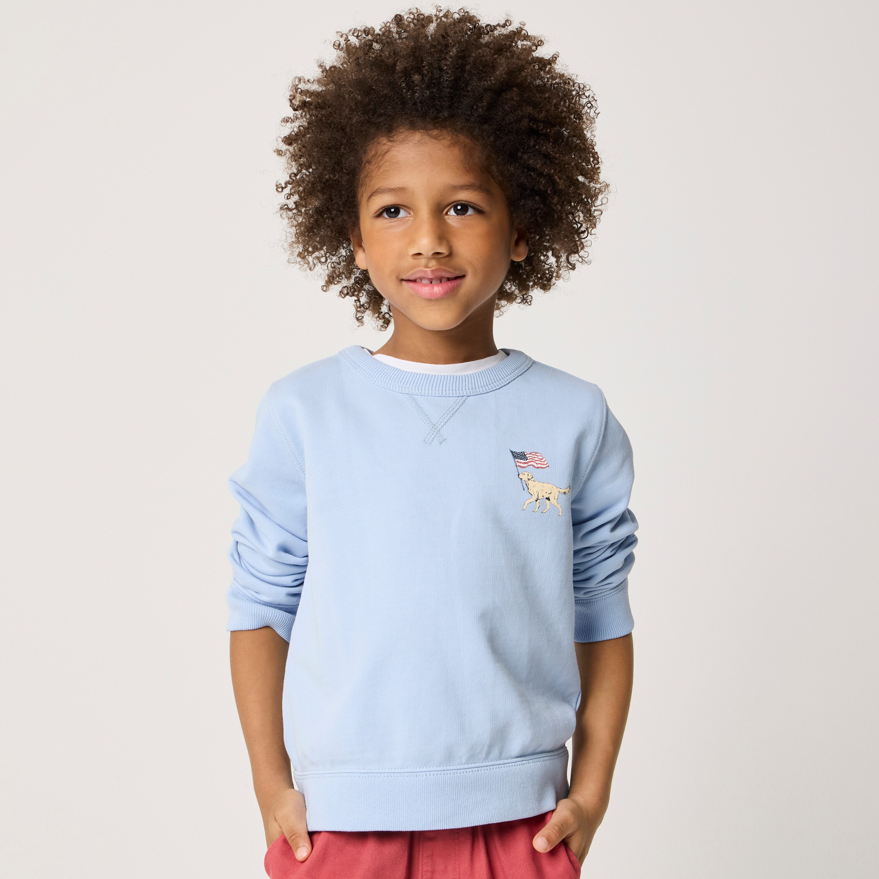 Boys' dog with flag crewneck sweatshirt