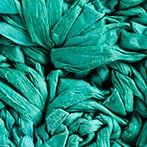 Woven shell clutch GALLERY GREEN