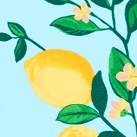 Lemon-print one-piece swimsuit CLOUDBOUND MULTI