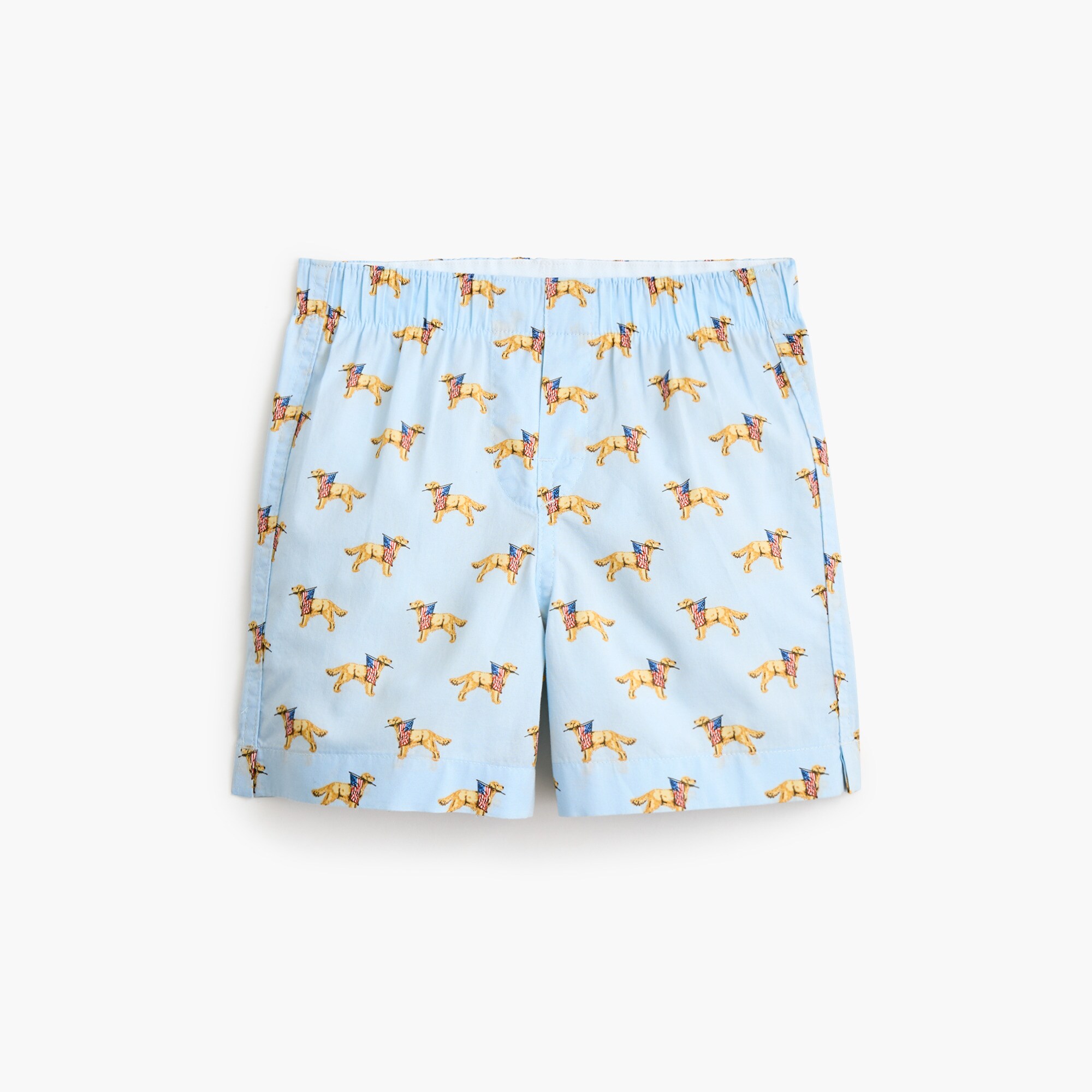 Boys' patriotic dog boxers