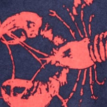 6" stretch swim trunk in oar print CAPE AND TOSS NAVY RED