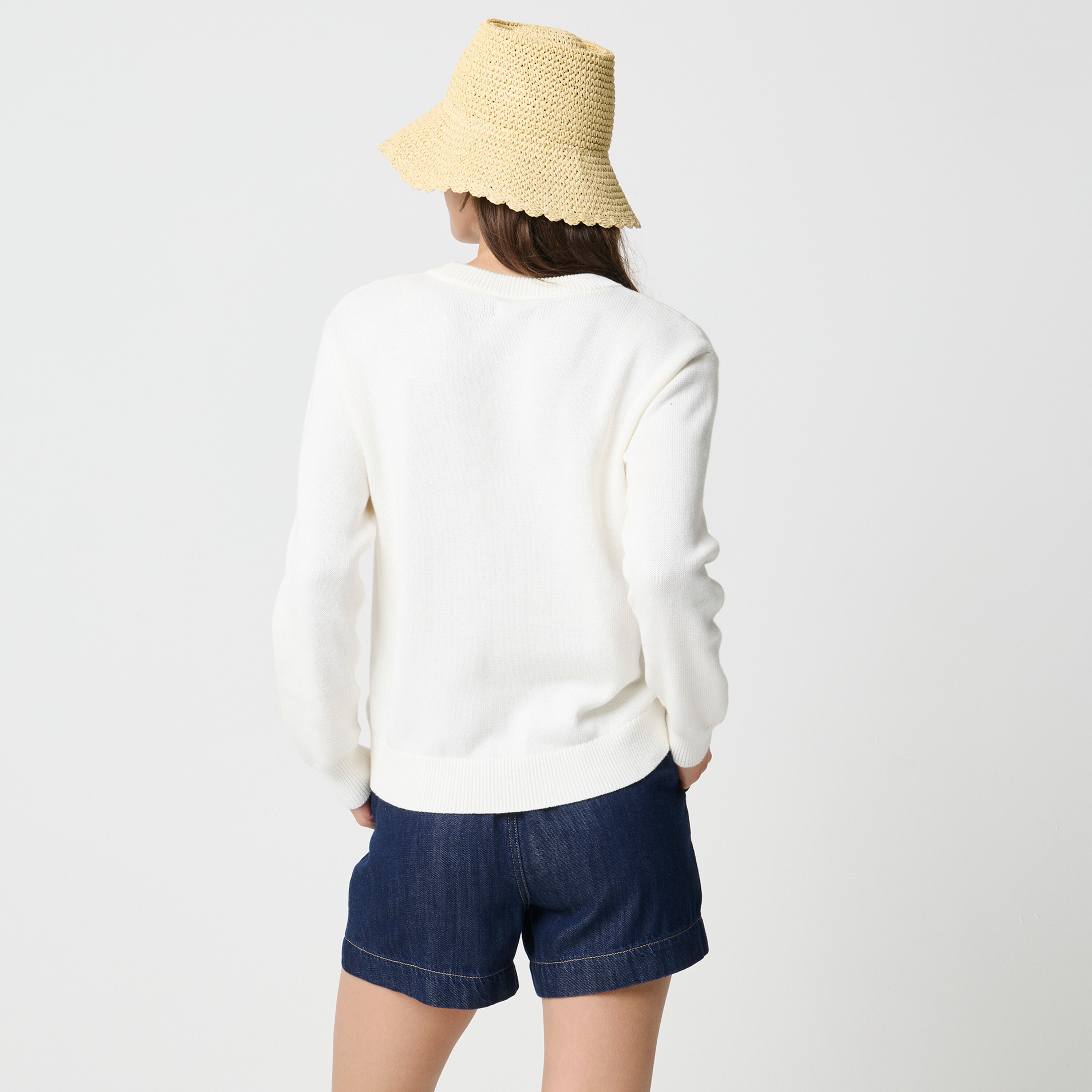 Lobster sweater