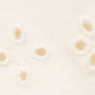 Girls' knit short in eyelet IVORY