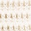 Short-sleeve crochet floral cardigan IVORY
