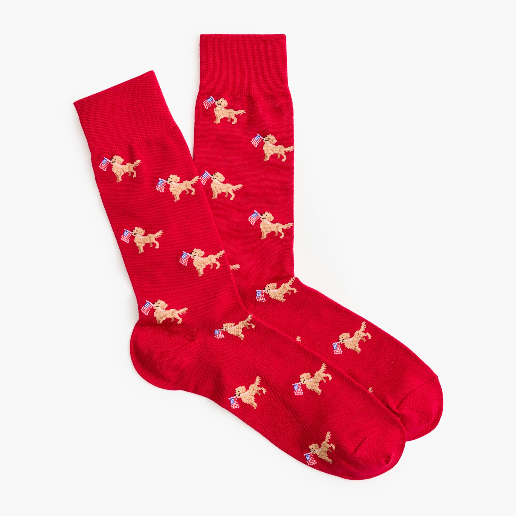 Dog with flag socks