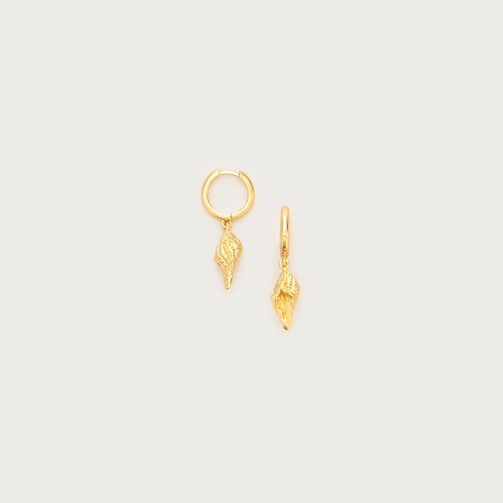 Shell huggie hoop earrings