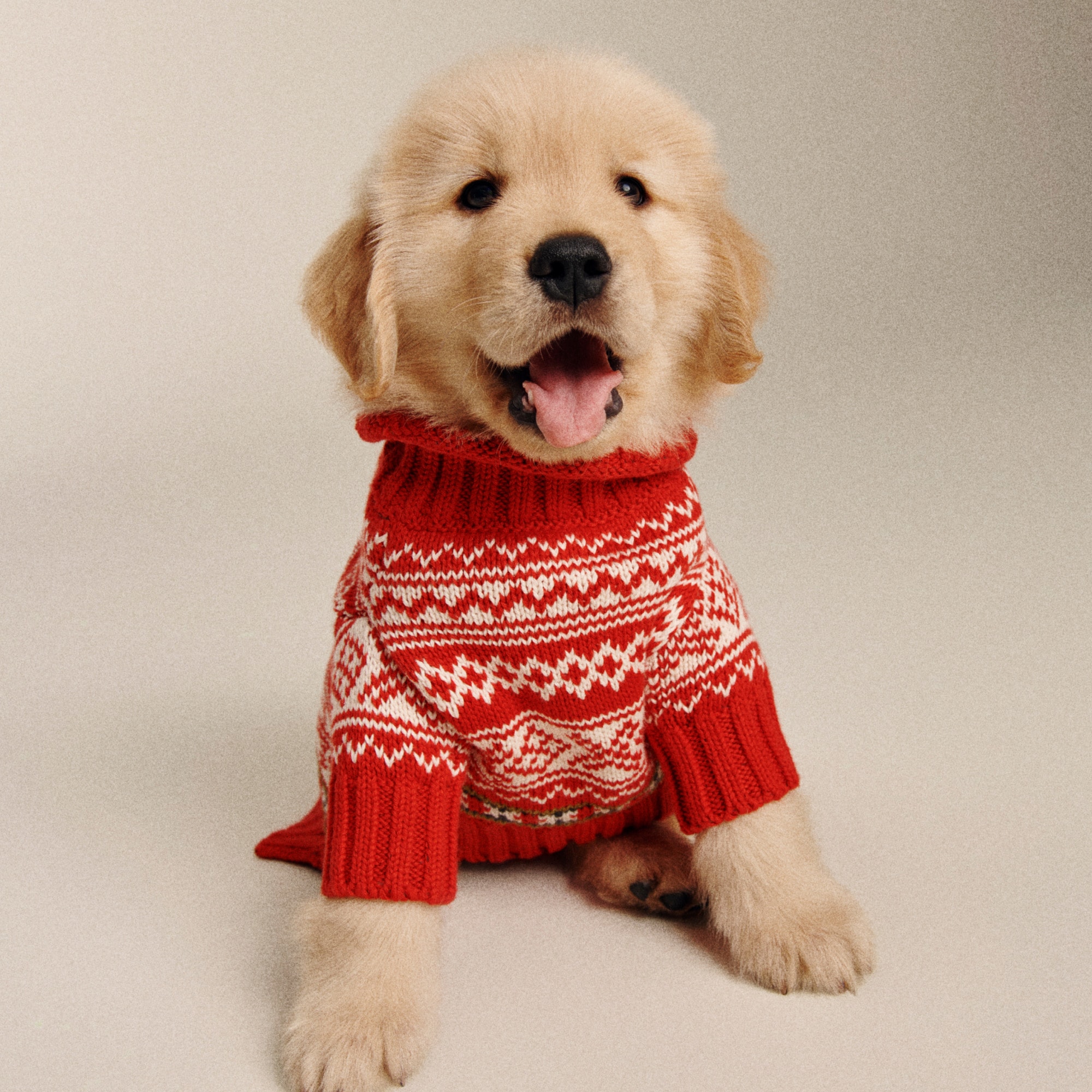 Limited-edition Fair Isle Rollneck™ sweater for dogs