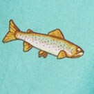 Plaid woven boxers AEGEAN TEAL MULTI