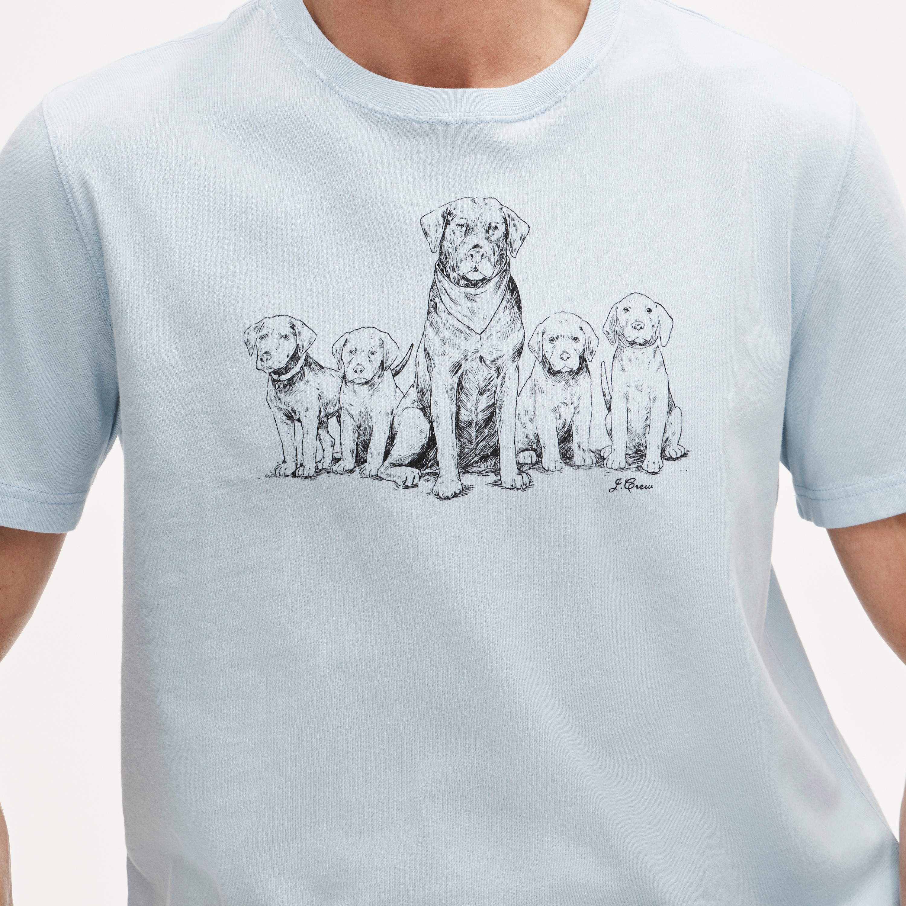 Vintage-wash cotton graphic T-shirt