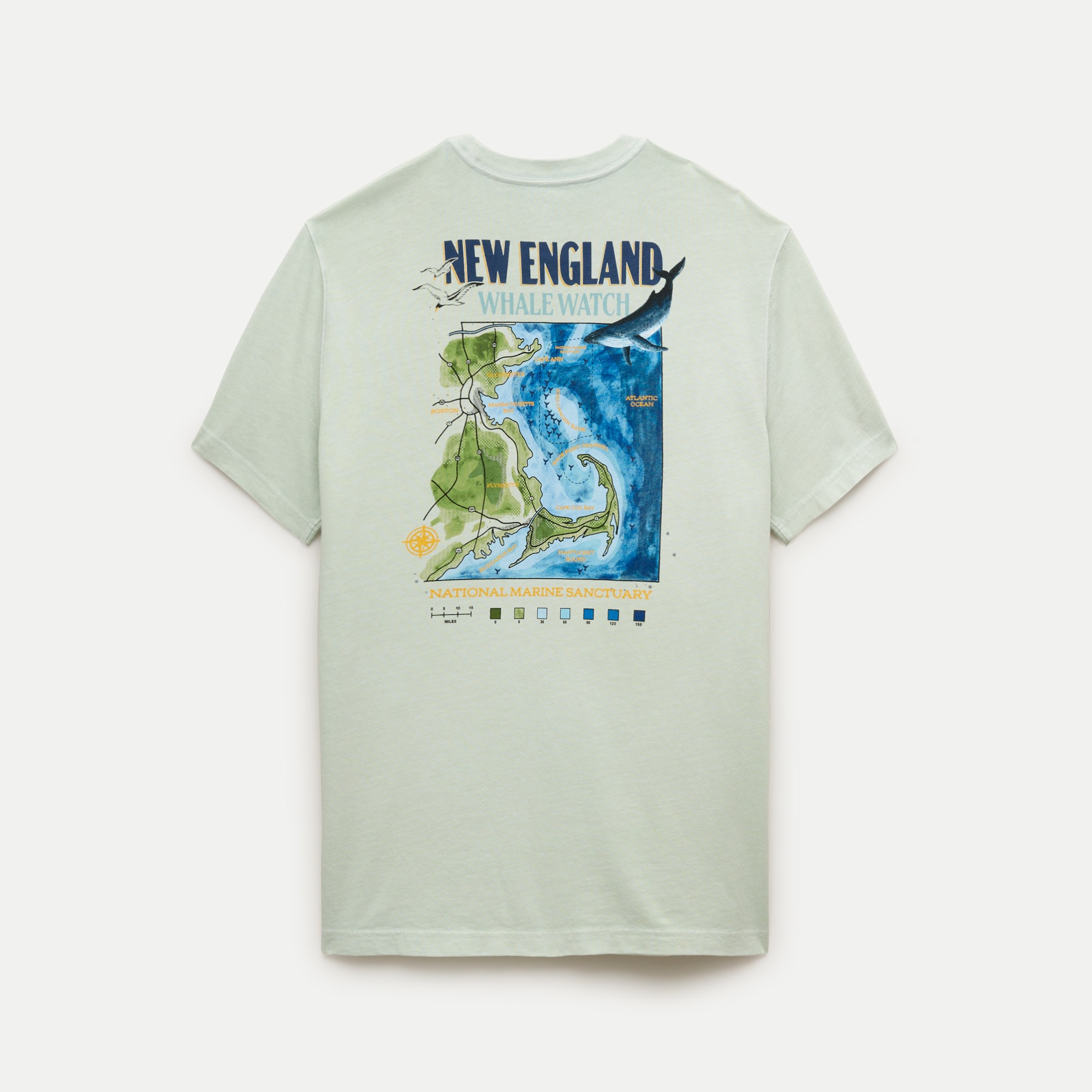 Vintage-wash cotton graphic T-shirt