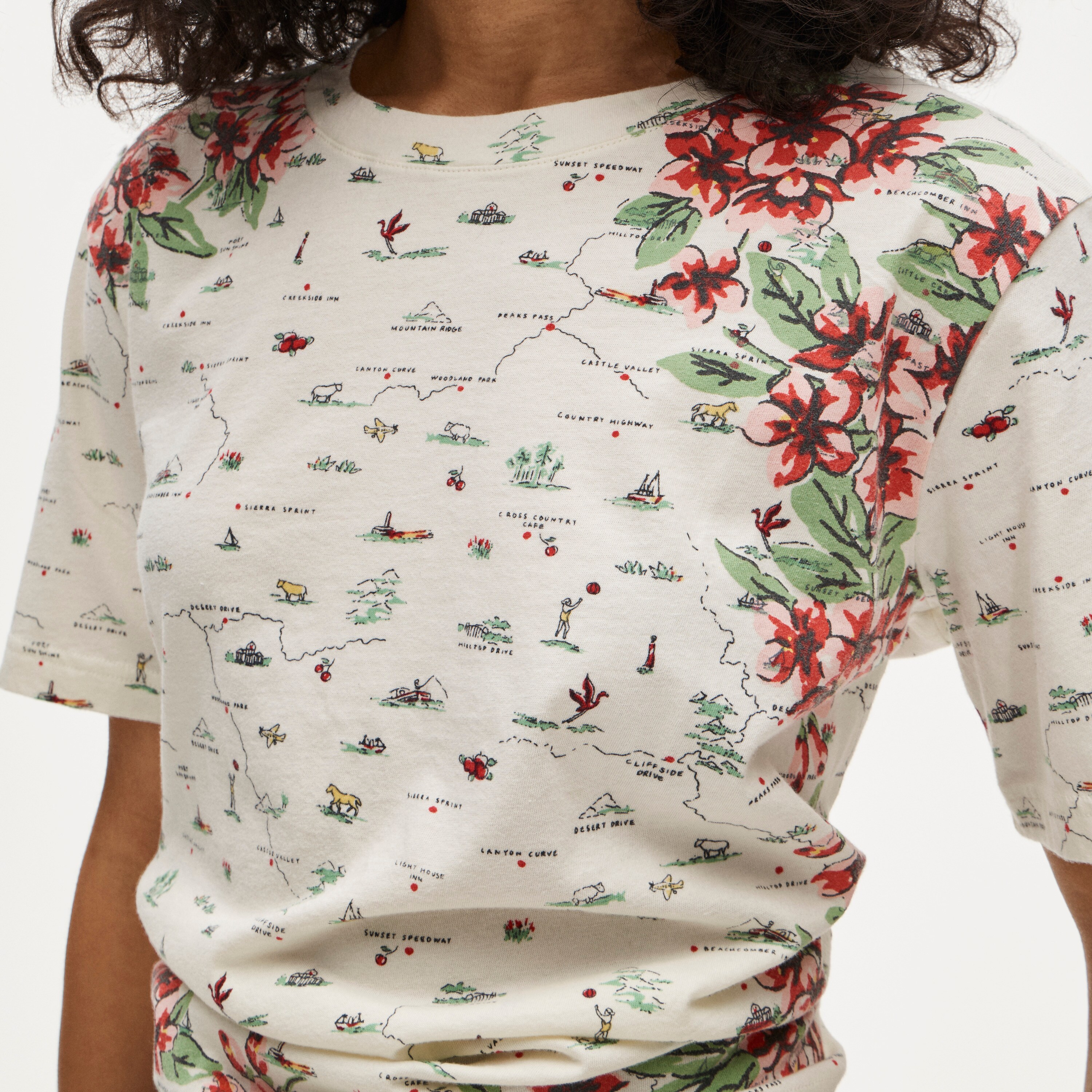 Broken-in jersey relaxed-fit map graphic T-shirt