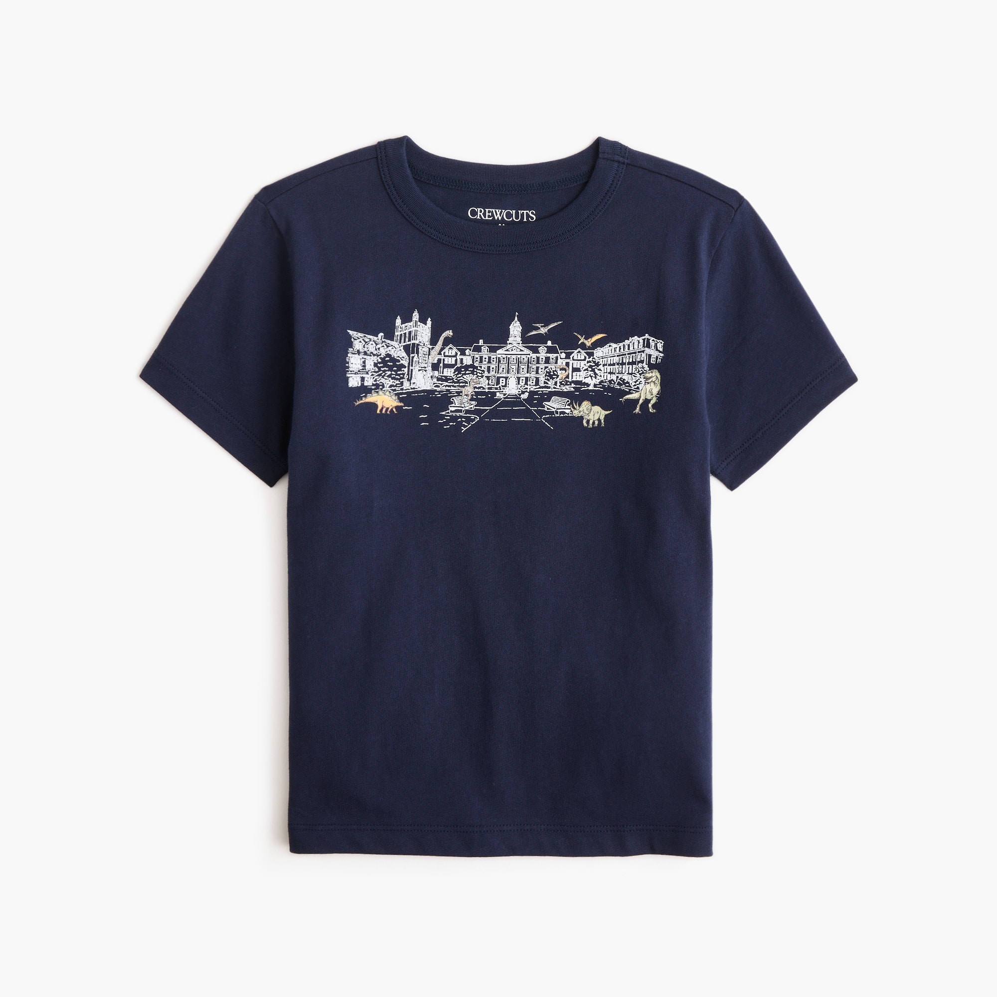 Boys' 100% Cotton Dinosaurs On The Quad Graphic Tee For Boys | Factory