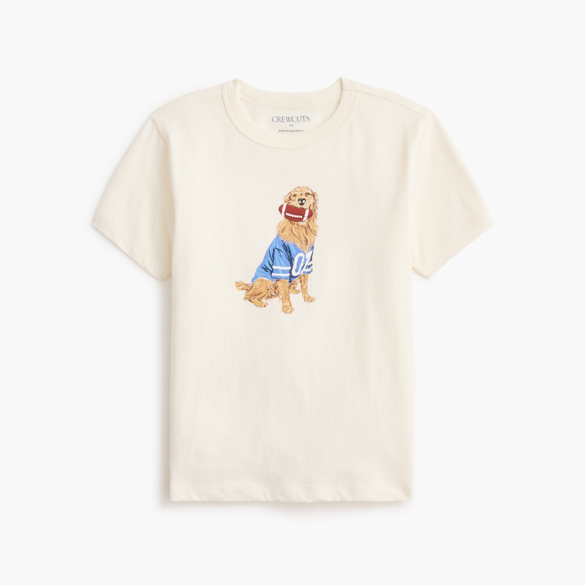 Boys' football dog graphic tee