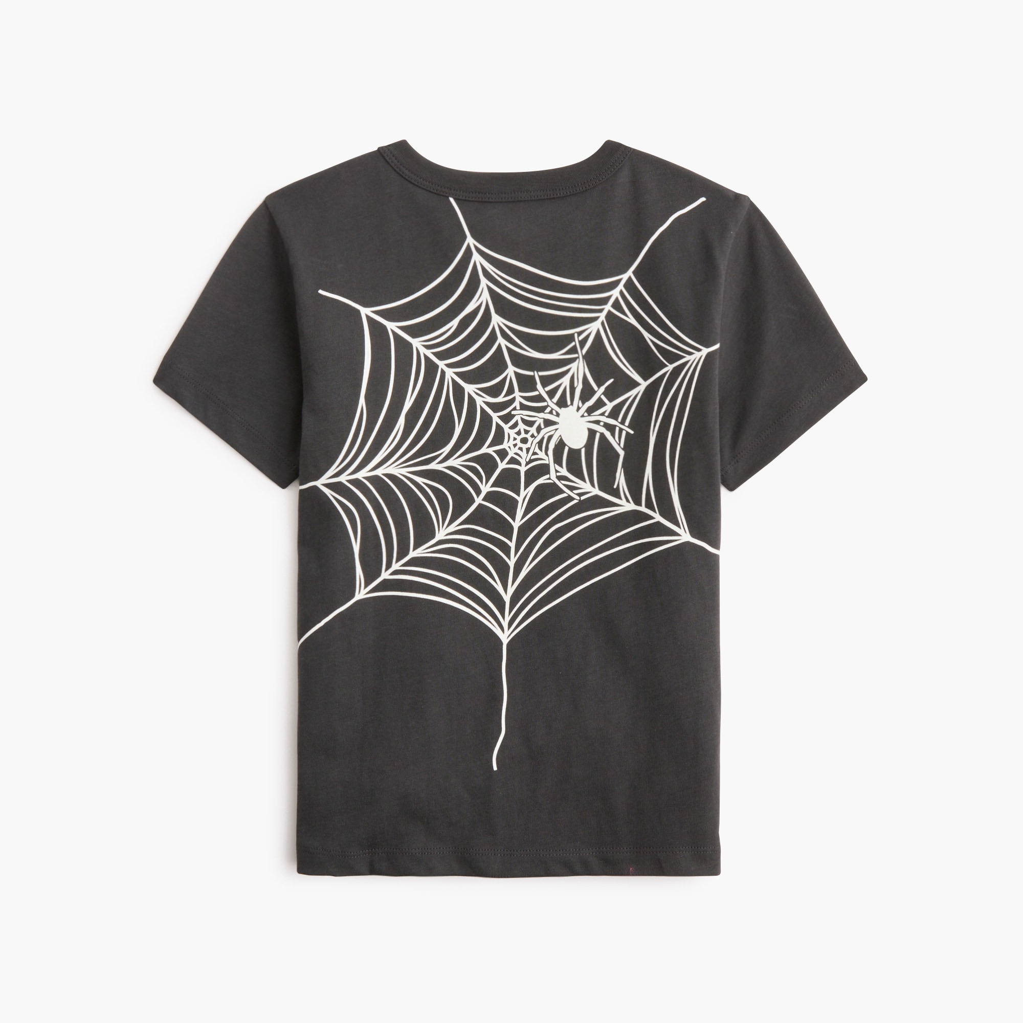 Boys' spiderweb graphic tee