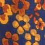 Girls' floral leggings ANTIQUE NAVY MULTI