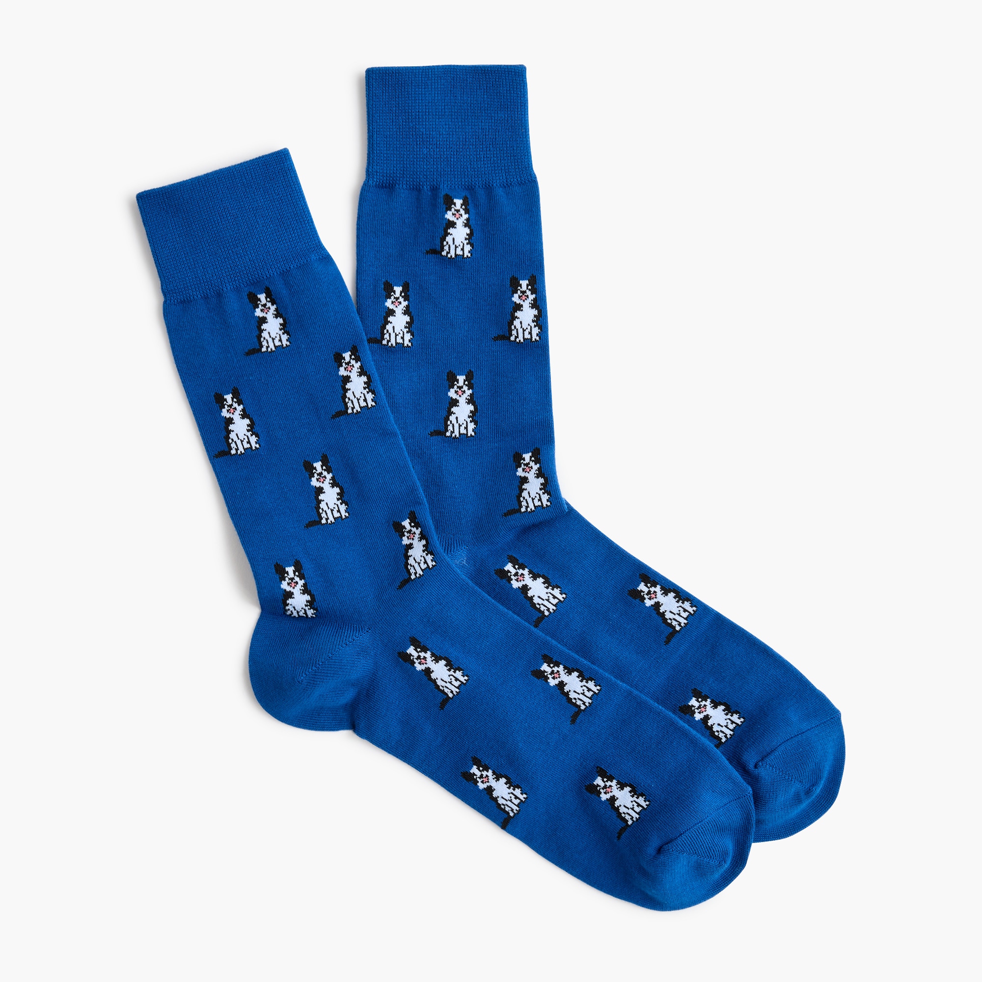 Border collie socks