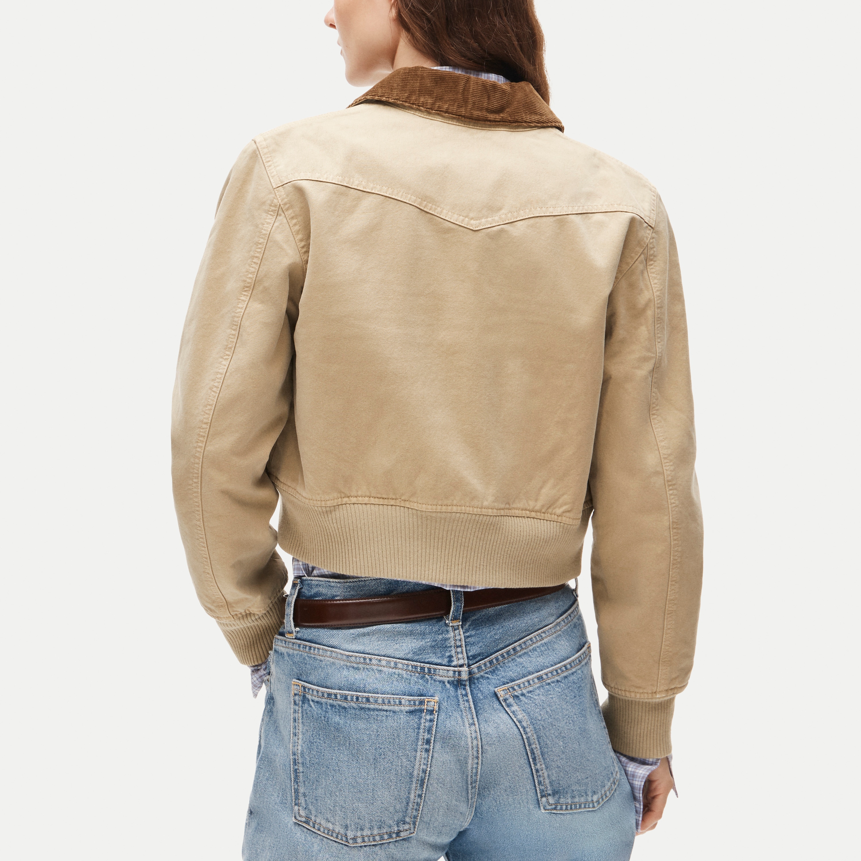 Cropped bomber jacket in cotton canvas