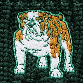 Kids' beanie with bulldog patch GREEN BLUE DOG MULTI