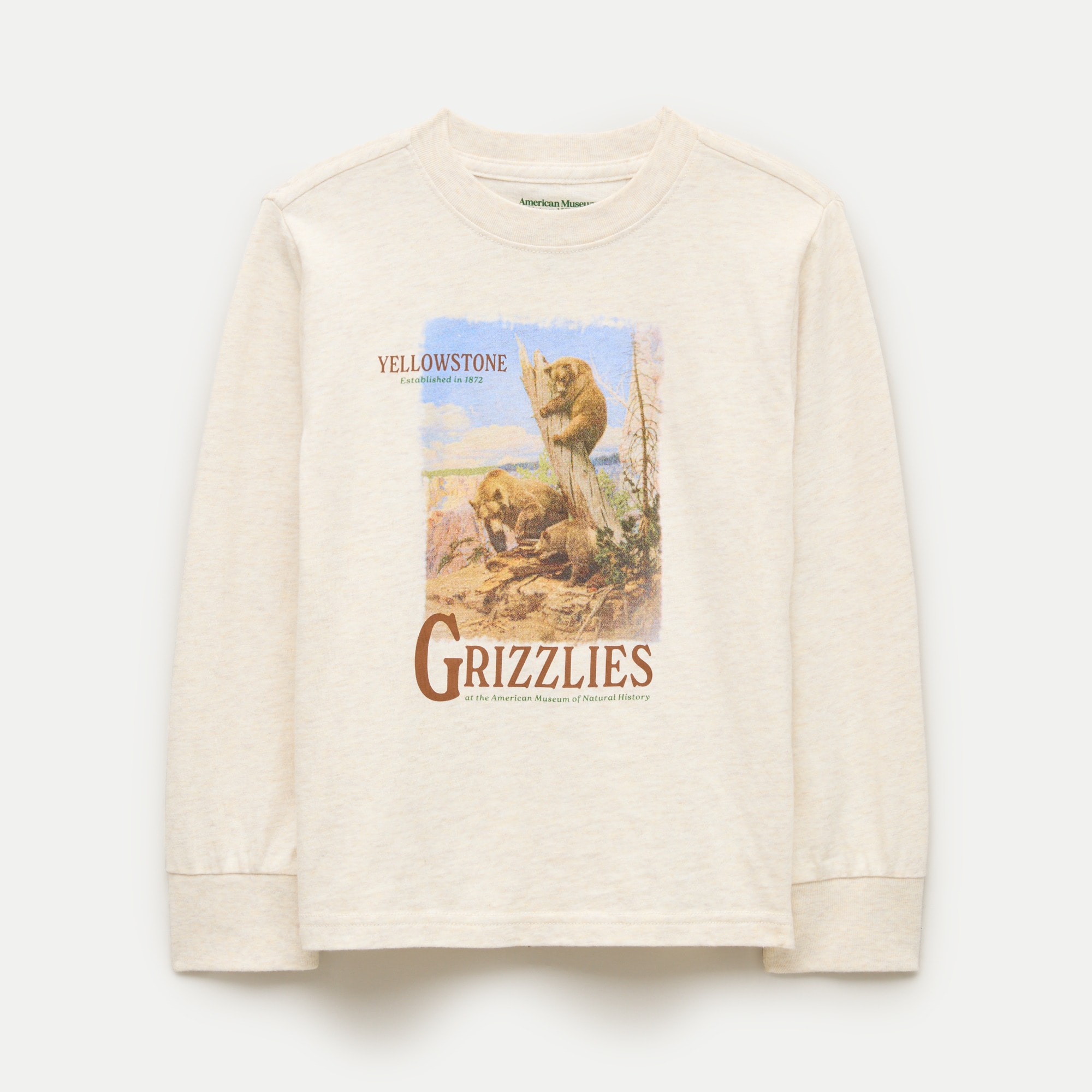 American Museum of Natural History for J.Crew kids' "Yellowstone Grizzlies" graphic T-shirt