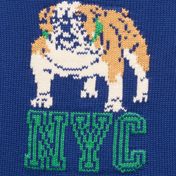 American Museum of Natural History for J.Crew kids' dinosaur intarsia Rollneck&trade; sweater NYC DOG MULTI