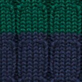 American Museum of Natural History for J.Crew kids' dinosaur intarsia Rollneck&trade; sweater NAVY EMERALD
