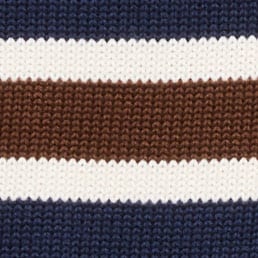 American Museum of Natural History for J.Crew kids' dinosaur intarsia Rollneck&trade; sweater NAVY STRIPE