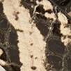 Embellished thin belt in eel-embossed leather NATURAL MULTI SNAKE